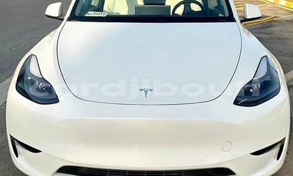 Acheter Occasion Voiture Tesla Model X Blanc à Djibouti city, East africa