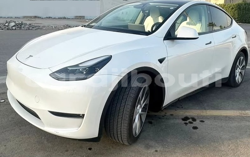 Big with watermark tesla model x east africa djibouti city 4671
