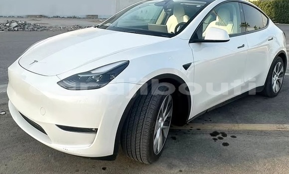 Acheter Occasion Voiture Tesla Model X Blanc à Djibouti city, East africa Acheter Occasion Voiture Tesla Model X Blanc à Djibouti city, East africa