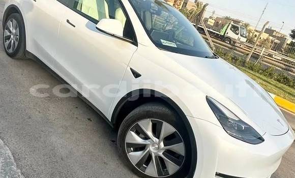 Acheter Occasion Voiture Tesla Model X Blanc à Djibouti city, East africa Acheter Occasion Voiture Tesla Model X Blanc à Djibouti city, East africa