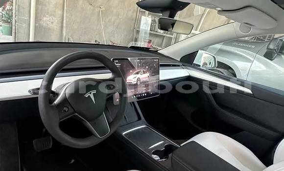 Acheter Occasion Voiture Tesla Model X Blanc à Djibouti city, East africa Acheter Occasion Voiture Tesla Model X Blanc à Djibouti city, East africa