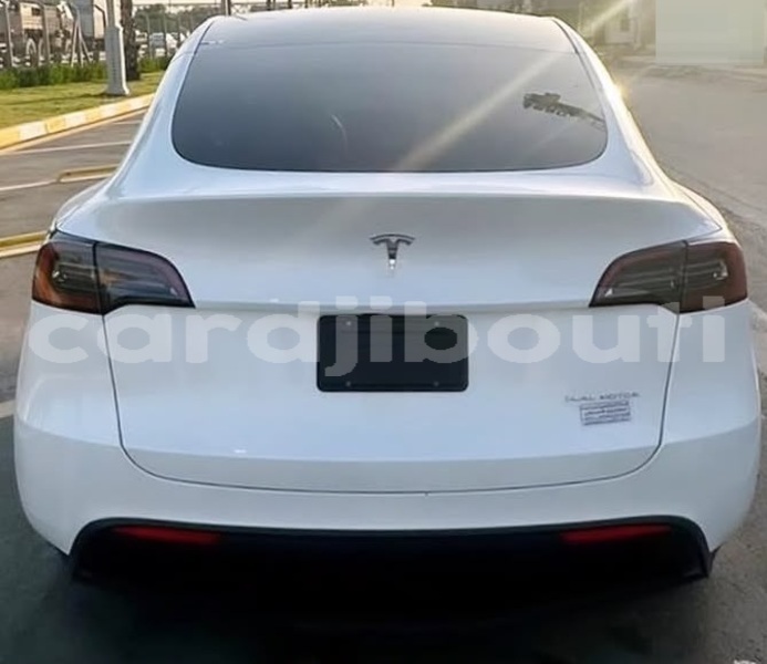 Big with watermark tesla model x east africa djibouti city 4671
