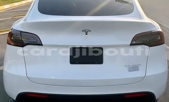 Acheter Occasion Voiture Tesla Model X Blanc à Djibouti city, East africa Acheter Occasion Voiture Tesla Model X Blanc à Djibouti city, East africa