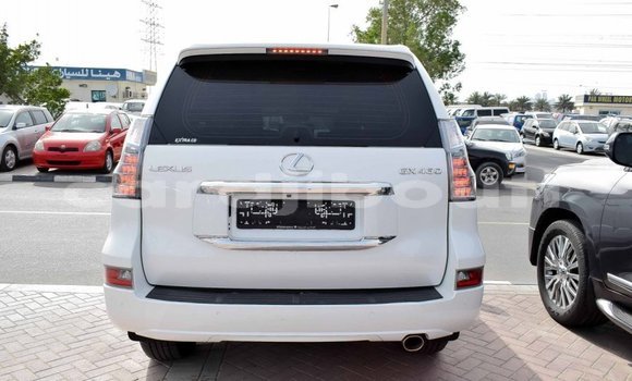 Buy Import Lexus GX White Car in Import - Dubai in Ali Sabieh Region Buy Import Lexus GX White Car in Import - Dubai in Ali Sabieh Region
