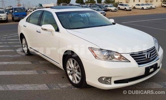 Buy Import Lexus ES White Car in Import - Dubai in Ali Sabieh Region Buy Import Lexus ES White Car in Import - Dubai in Ali Sabieh Region