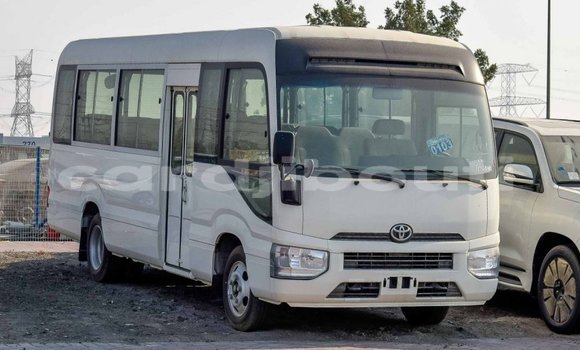 Buy Import Toyota Coaster White Car in Import - Dubai in Ali Sabieh Region Buy Import Toyota Coaster White Car in Import - Dubai in Ali Sabieh Region