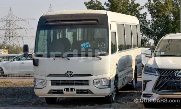 Buy Import Toyota Coaster White Car in Import - Dubai in Ali Sabieh Region Buy Import Toyota Coaster White Car in Import - Dubai in Ali Sabieh Region