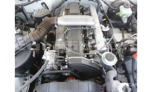 Acheter Import Voiture Toyota Land Cruiser Blanc à Import - Dubai, Ali Sabieh Region Acheter Import Voiture Toyota Land Cruiser Blanc à Import - Dubai, Ali Sabieh Region