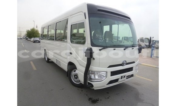 Acheter Import Voiture Toyota Coaster Blanc à Import - Dubai, Ali Sabieh Region Acheter Import Voiture Toyota Coaster Blanc à Import - Dubai, Ali Sabieh Region