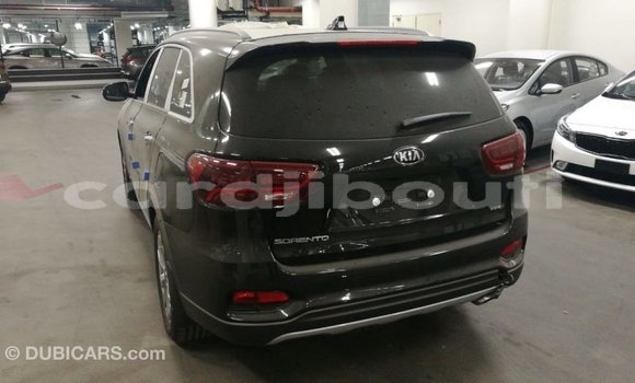 Buy Import Kia Sorento Brown Car in Import - Dubai in Ali Sabieh Region Buy Import Kia Sorento Brown Car in Import - Dubai in Ali Sabieh Region
