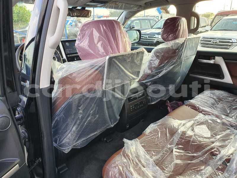 Big with watermark 11