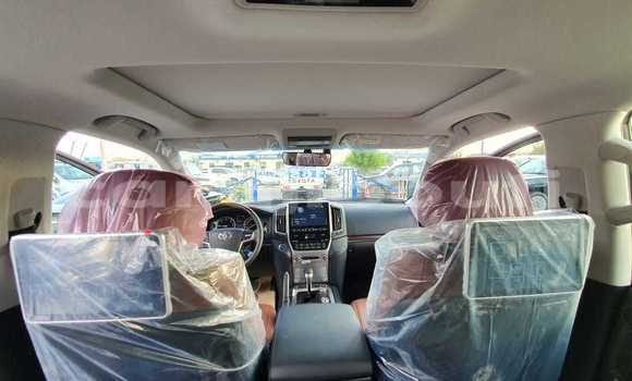 Acheter Neuf Voiture Toyota Land Cruiser Noir à Alaili Dadda, Obock Acheter Neuf Voiture Toyota Land Cruiser Noir à Alaili Dadda, Obock