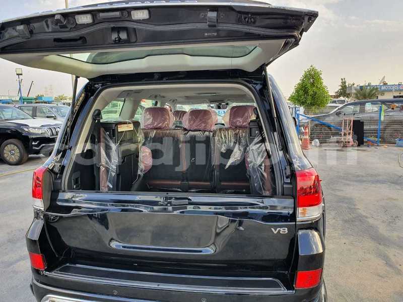 Big with watermark 15