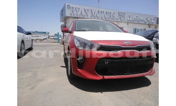 Buy Import Kia Rio Red Car in Import - Dubai in Ali Sabieh Region Buy Import Kia Rio Red Car in Import - Dubai in Ali Sabieh Region