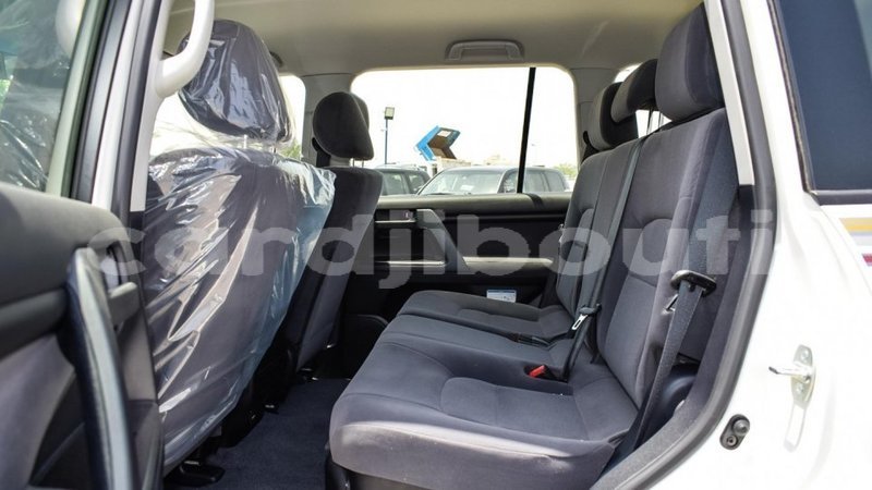 Big with watermark 7