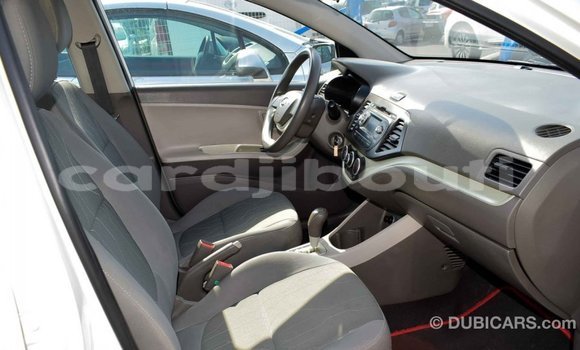 Buy Import Kia Picanto White Car in Import - Dubai in Ali Sabieh Region Buy Import Kia Picanto White Car in Import - Dubai in Ali Sabieh Region