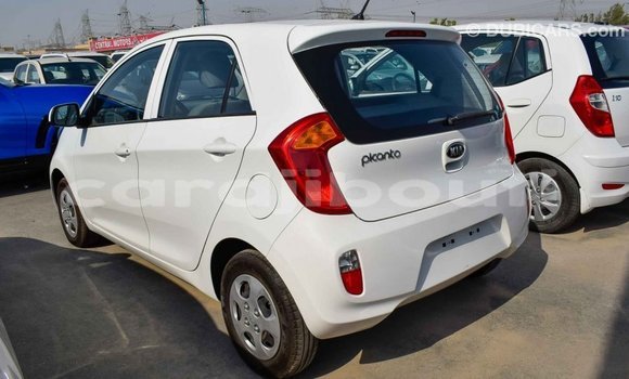 Buy Import Kia Picanto White Car in Import - Dubai in Ali Sabieh Region Buy Import Kia Picanto White Car in Import - Dubai in Ali Sabieh Region