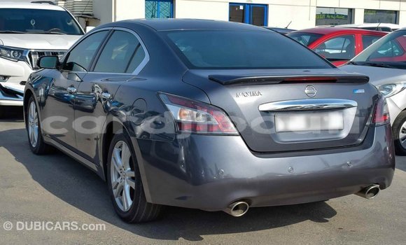 Buy Import Nissan Maxima Other Car in Import - Dubai in Ali Sabieh Region Buy Import Nissan Maxima Other Car in Import - Dubai in Ali Sabieh Region