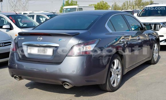 Buy Import Nissan Maxima Other Car in Import - Dubai in Ali Sabieh Region Buy Import Nissan Maxima Other Car in Import - Dubai in Ali Sabieh Region