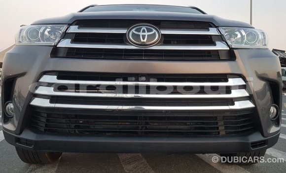 Buy Import Toyota Highlander Other Car in Import - Dubai in Ali Sabieh Region Buy Import Toyota Highlander Other Car in Import - Dubai in Ali Sabieh Region