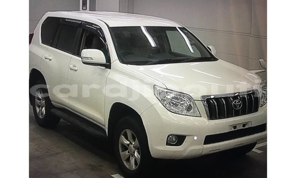 Acheter Import Voiture Toyota Prado Blanc à Import - Dubai, Ali Sabieh Region Acheter Import Voiture Toyota Prado Blanc à Import - Dubai, Ali Sabieh Region